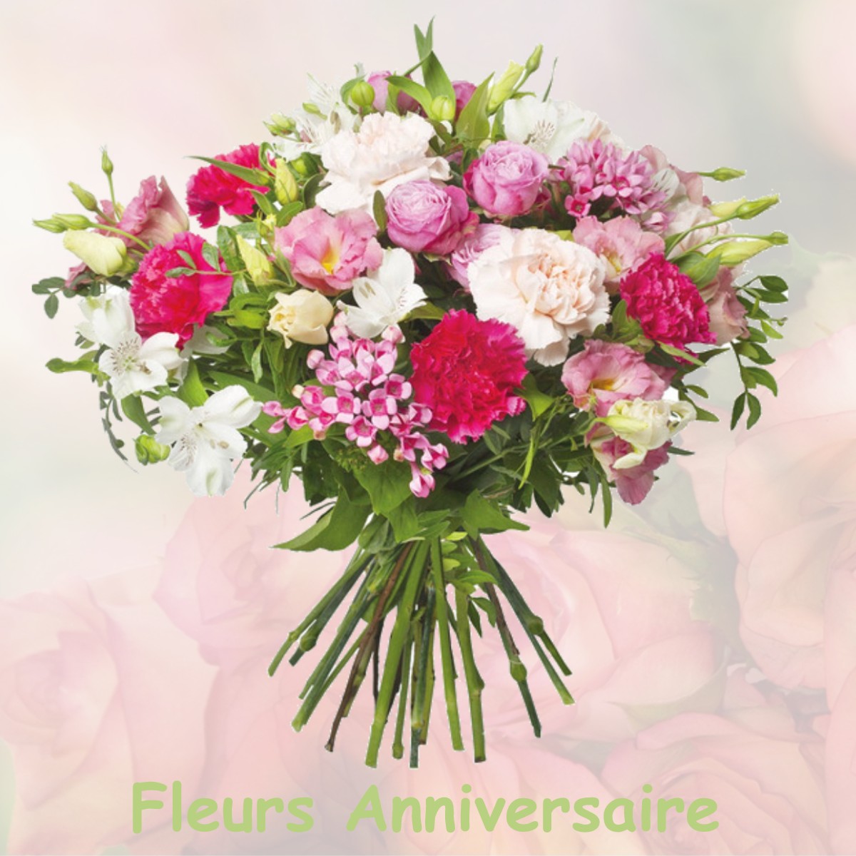 fleurs anniversaire VERNOIS-LES-BELVOIR